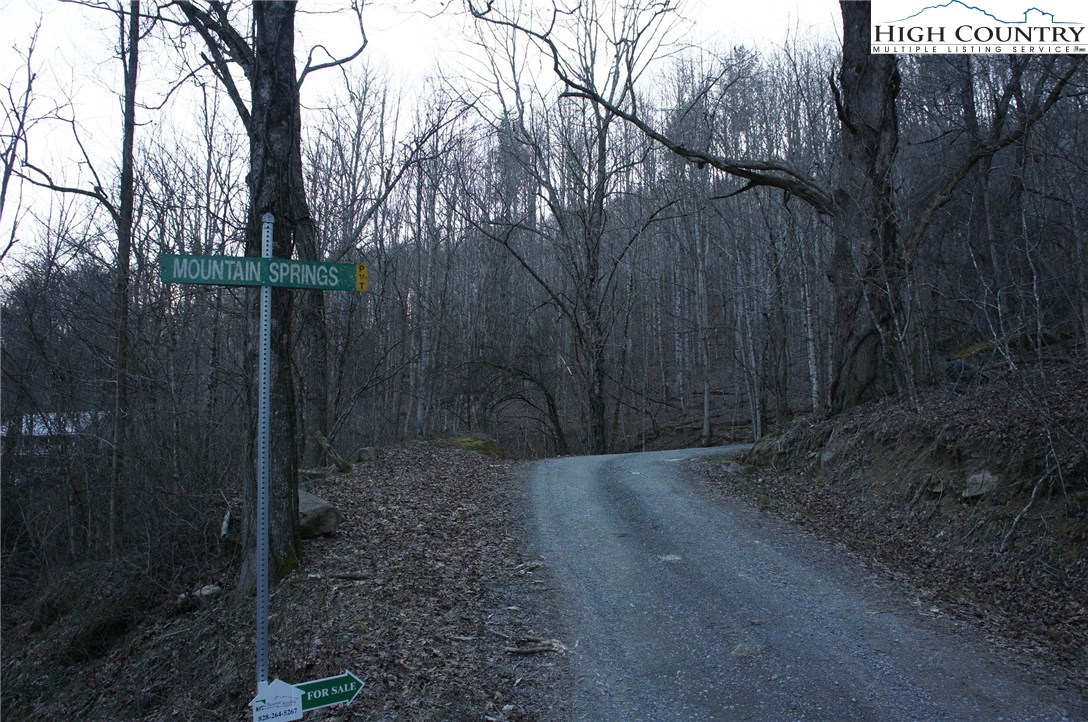 Mountain Springs Road Sugar Grove, NC 28679 - Photo 2 of 10