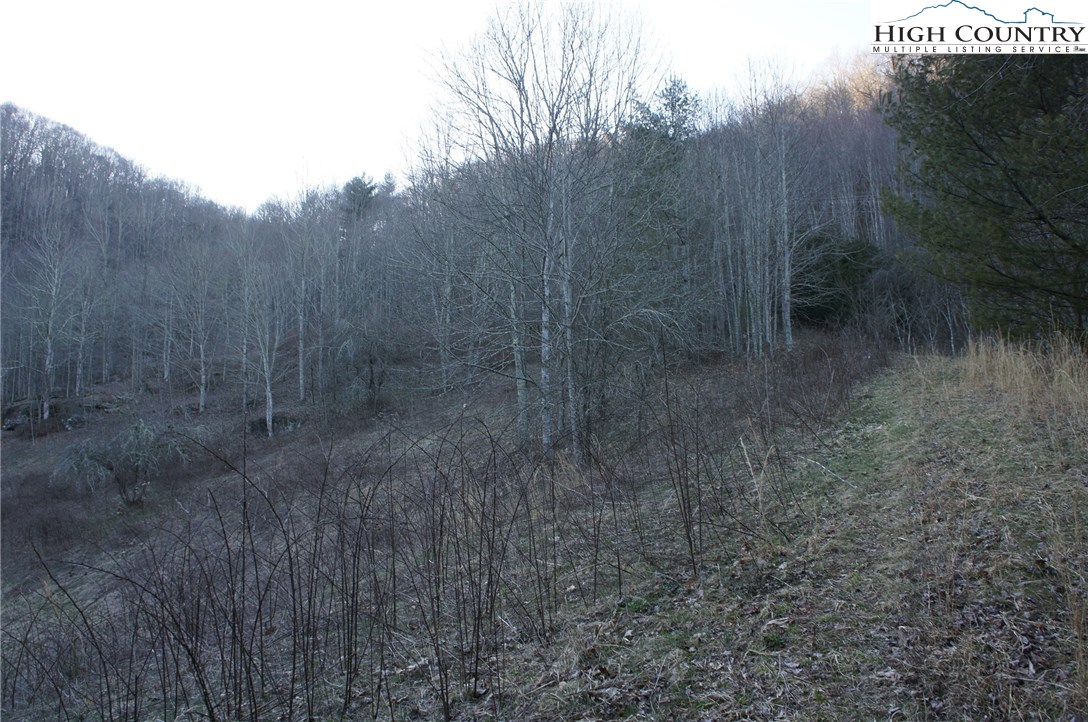 Mountain Springs Road Sugar Grove, NC 28679 - Photo 3 of 10