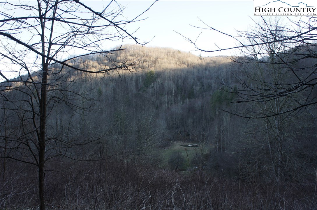 Mountain Springs Road Sugar Grove, NC 28679 - Photo 4 of 10