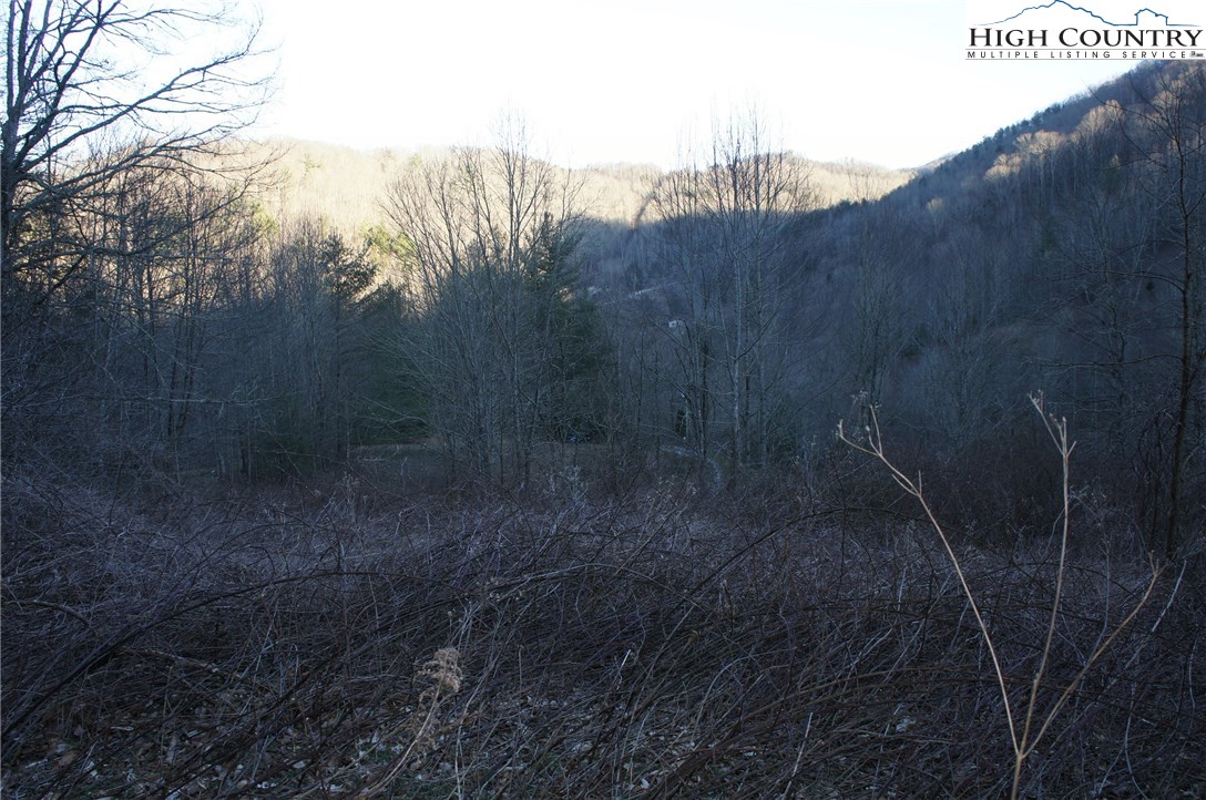 Mountain Springs Road Sugar Grove, NC 28679 - Photo 5 of 10