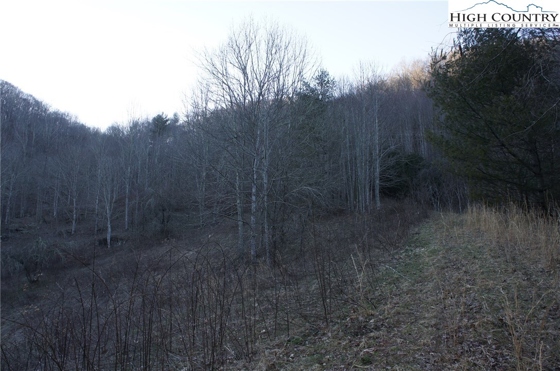 Mountain Springs Road Sugar Grove, NC 28679 - Photo 7 of 10