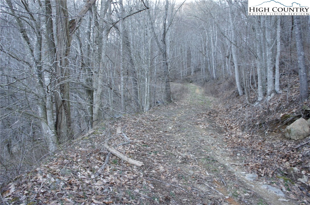 Mountain Springs Road Sugar Grove, NC 28679 - Photo 9 of 10
