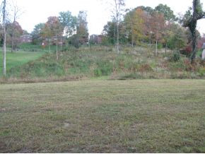 1148 Temple Street Greeneville, TN 37745 - Photo 5 of 16 210 acres