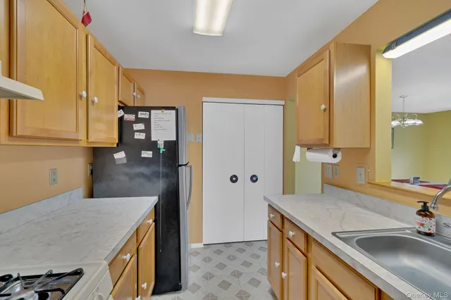 a kitchen with a sink refrigerator and cabinets