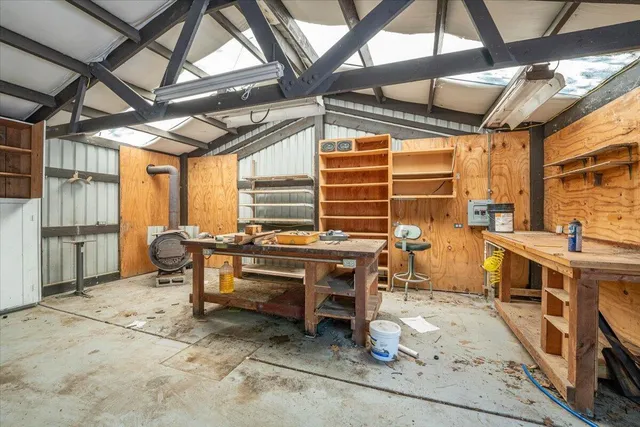 a view of a park with large trees