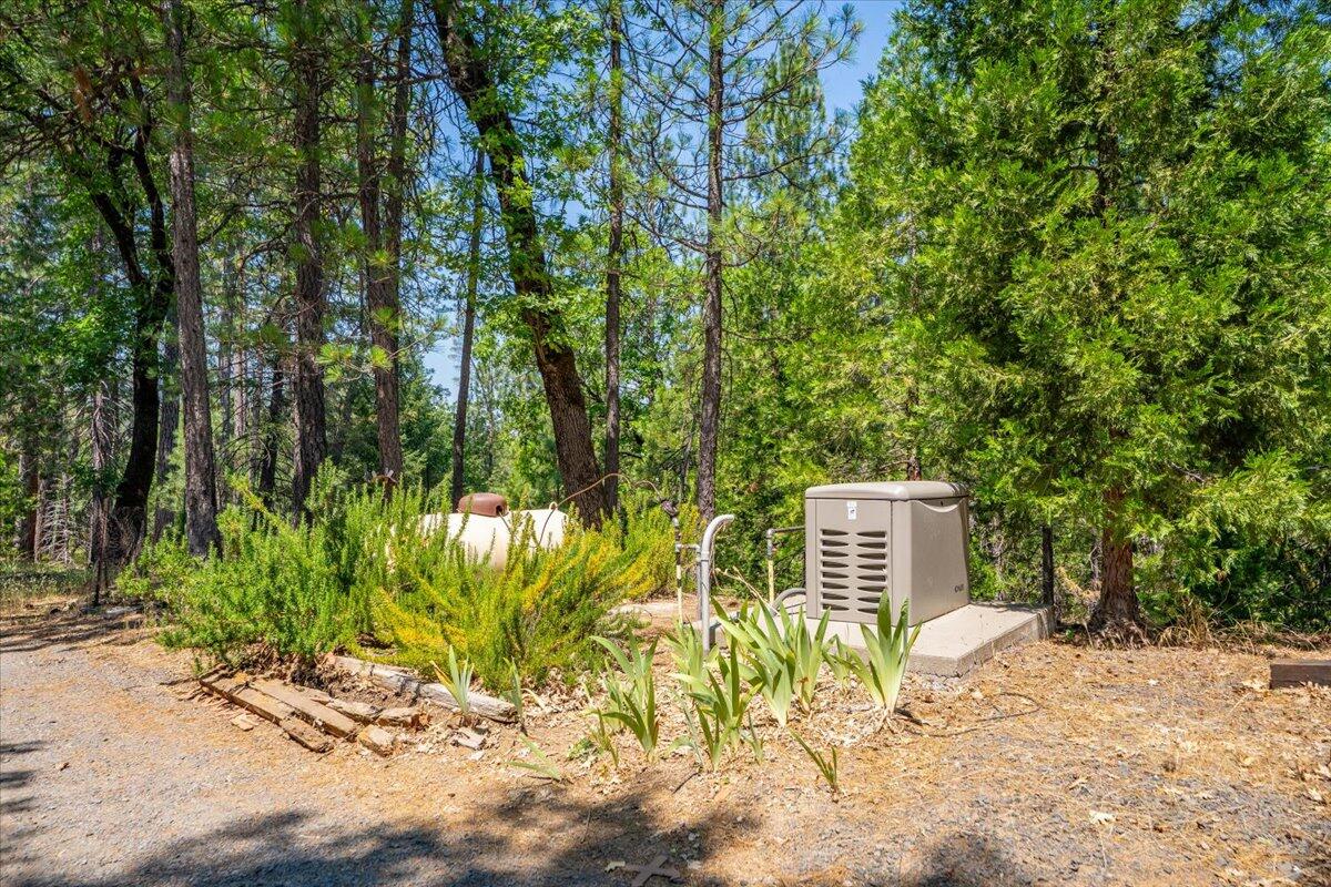15288 Sherwood Forrest Road Oak Run, CA 96069 - Photo 54 of 91 a backyard of a house with lots of green space and trees