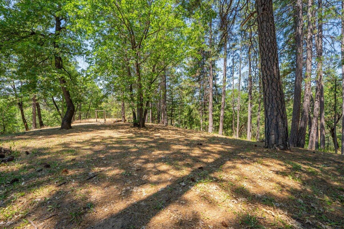 15288 Sherwood Forrest Road Oak Run, CA 96069 - Photo 68 of 91 67-15288 Sherwood Forest - E-44