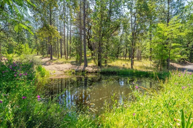 $300,000 | 15288 Sherwood Forrest Road, Oak Run, CA 96069