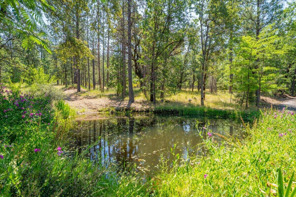 15288 Sherwood Forrest Road Oak Run, CA 96069 - Photo 72 of 91 a view of lake