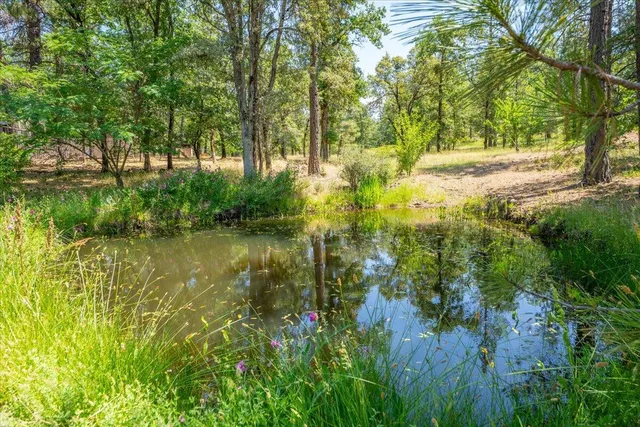 $300,000 | 15288 Sherwood Forrest Road, Oak Run, CA 96069