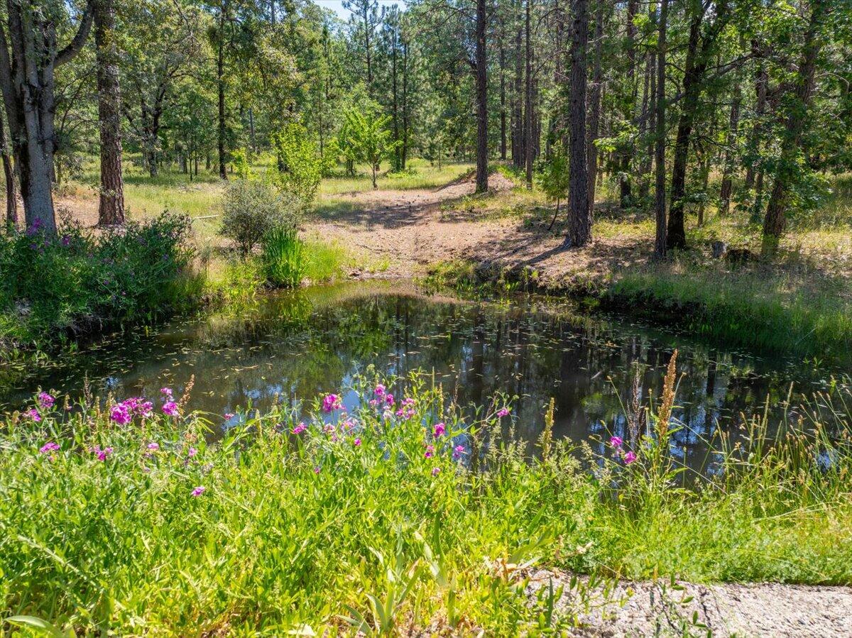 15288 Sherwood Forrest Road Oak Run, CA 96069 - Photo 76 of 91 75-15288 Sherwood Forest - E-53