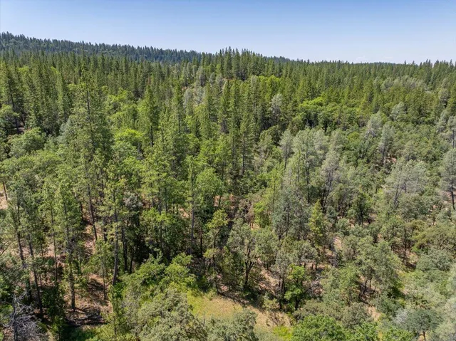 $300,000 | 15288 Sherwood Forrest Road, Oak Run, CA 96069