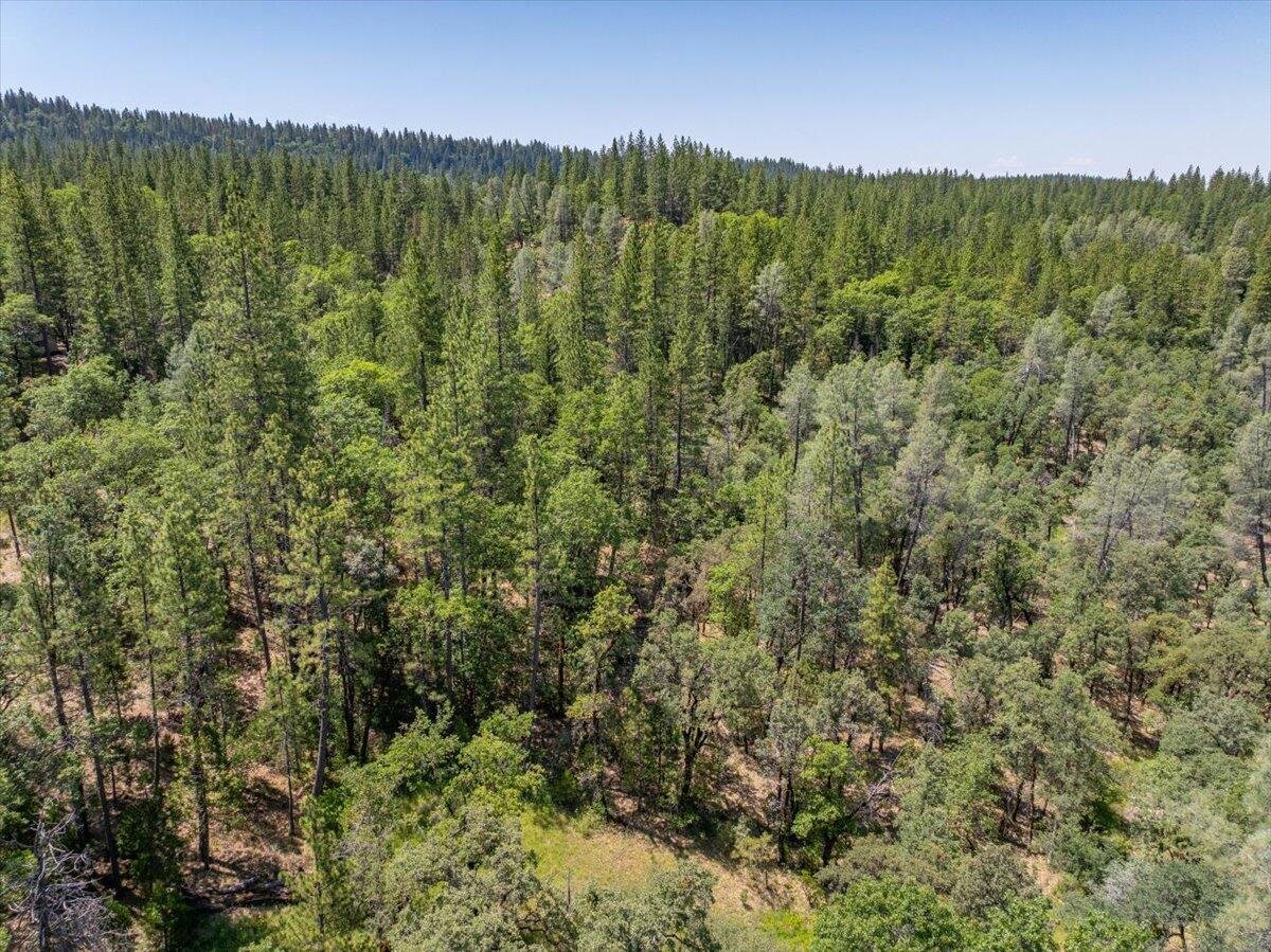 15288 Sherwood Forrest Road Oak Run, CA 96069 - Photo 78 of 91 a view of a lush green forest with a lake and mountain view