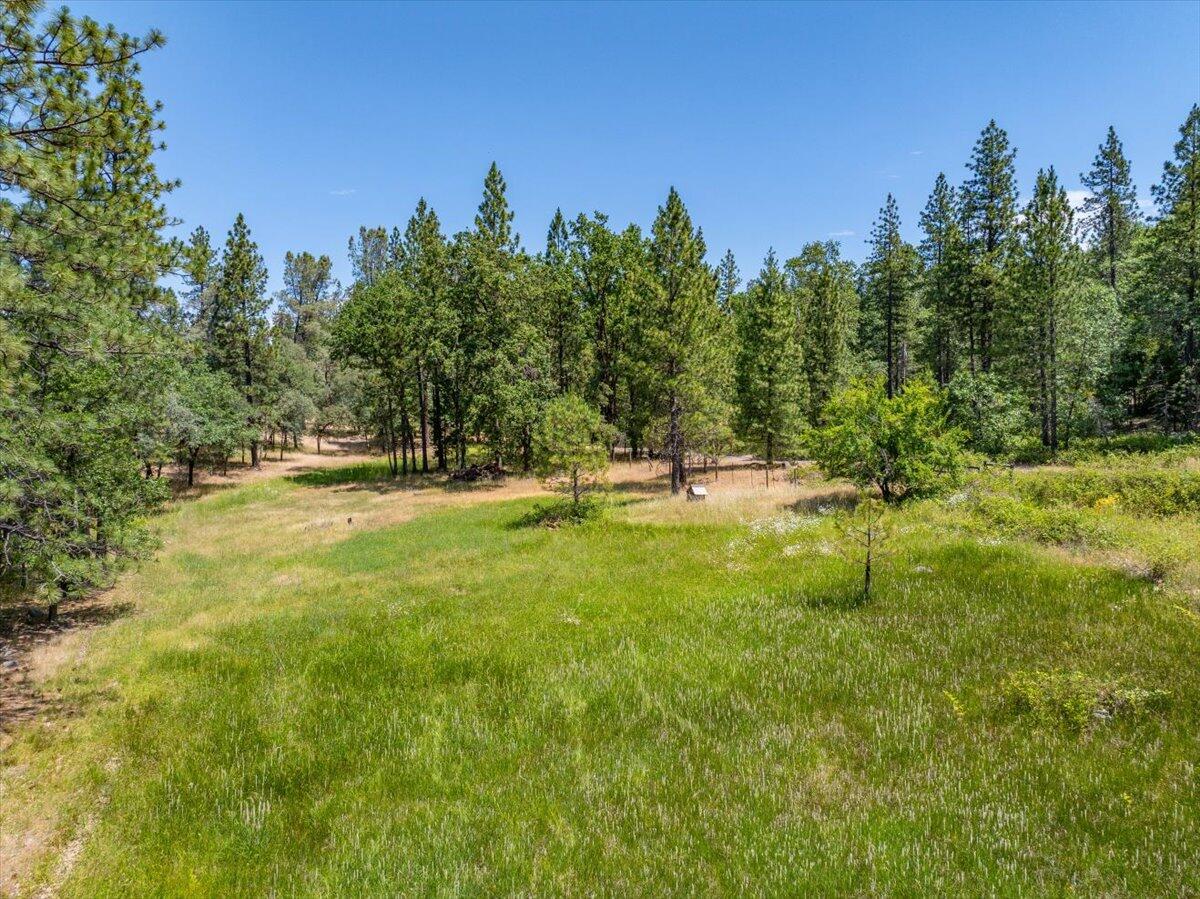 15288 Sherwood Forrest Road Oak Run, CA 96069 - Photo 80 of 91 79-15288 Sherwood Forest - E-58