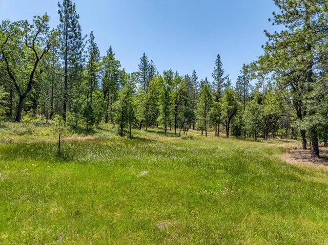 $300,000 | 15288 Sherwood Forrest Road, Oak Run, CA 96069