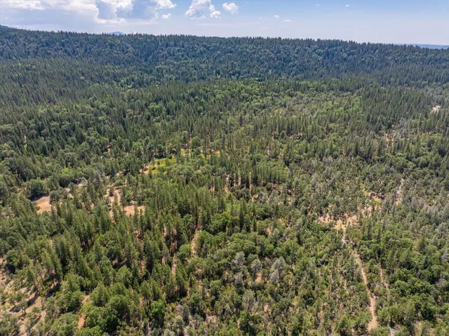 $300,000 | 15288 Sherwood Forrest Road, Oak Run, CA 96069