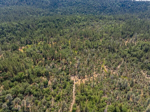 $300,000 | 15288 Sherwood Forrest Road, Oak Run, CA 96069