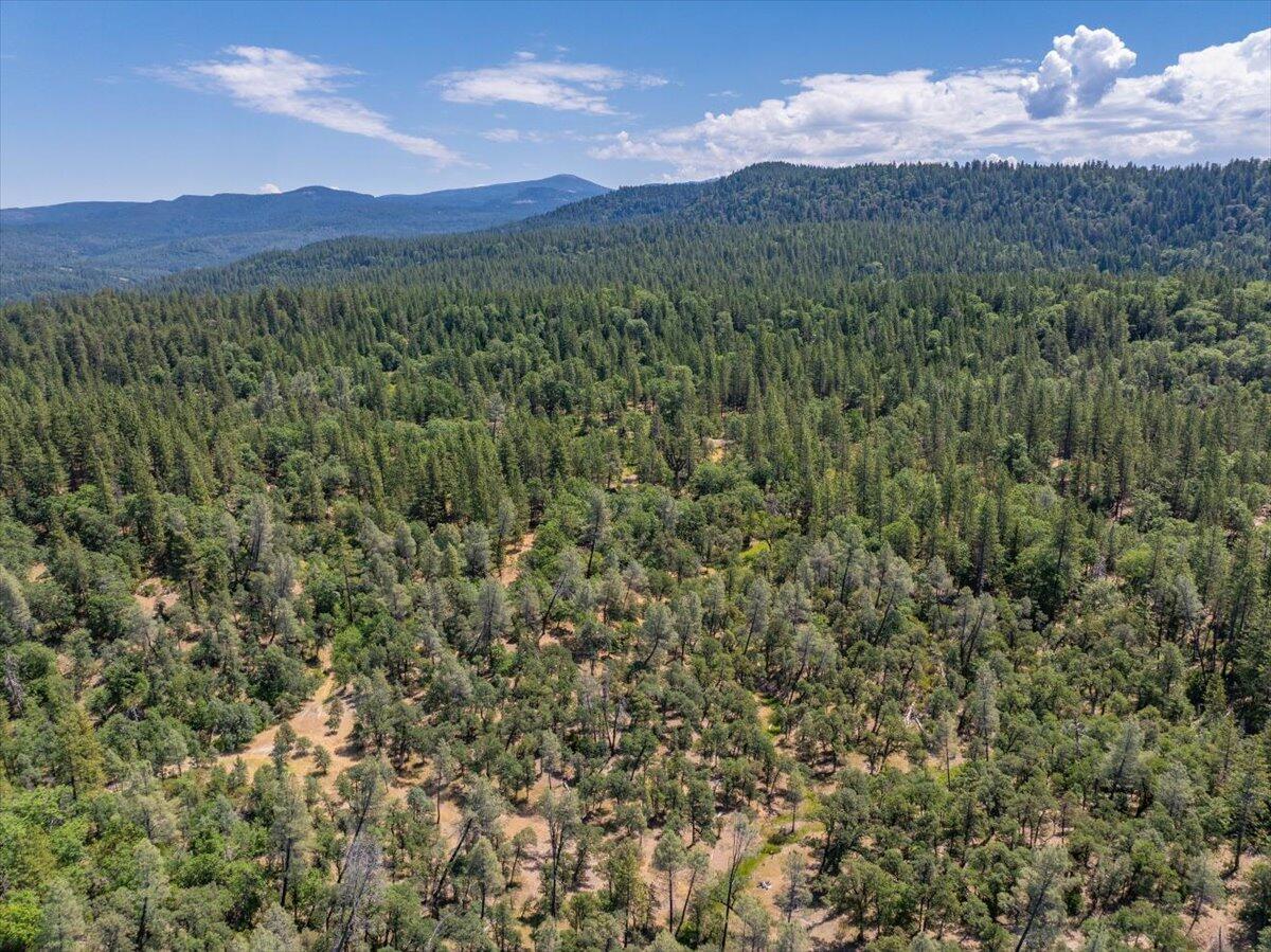15288 Sherwood Forrest Road Oak Run, CA 96069 - Photo 86 of 91 a view of a lush green hillside and a mountain