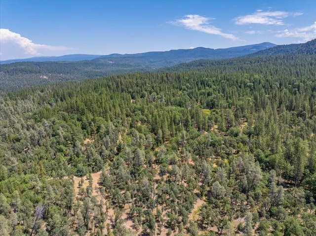 $300,000 | 15288 Sherwood Forrest Road, Oak Run, CA 96069