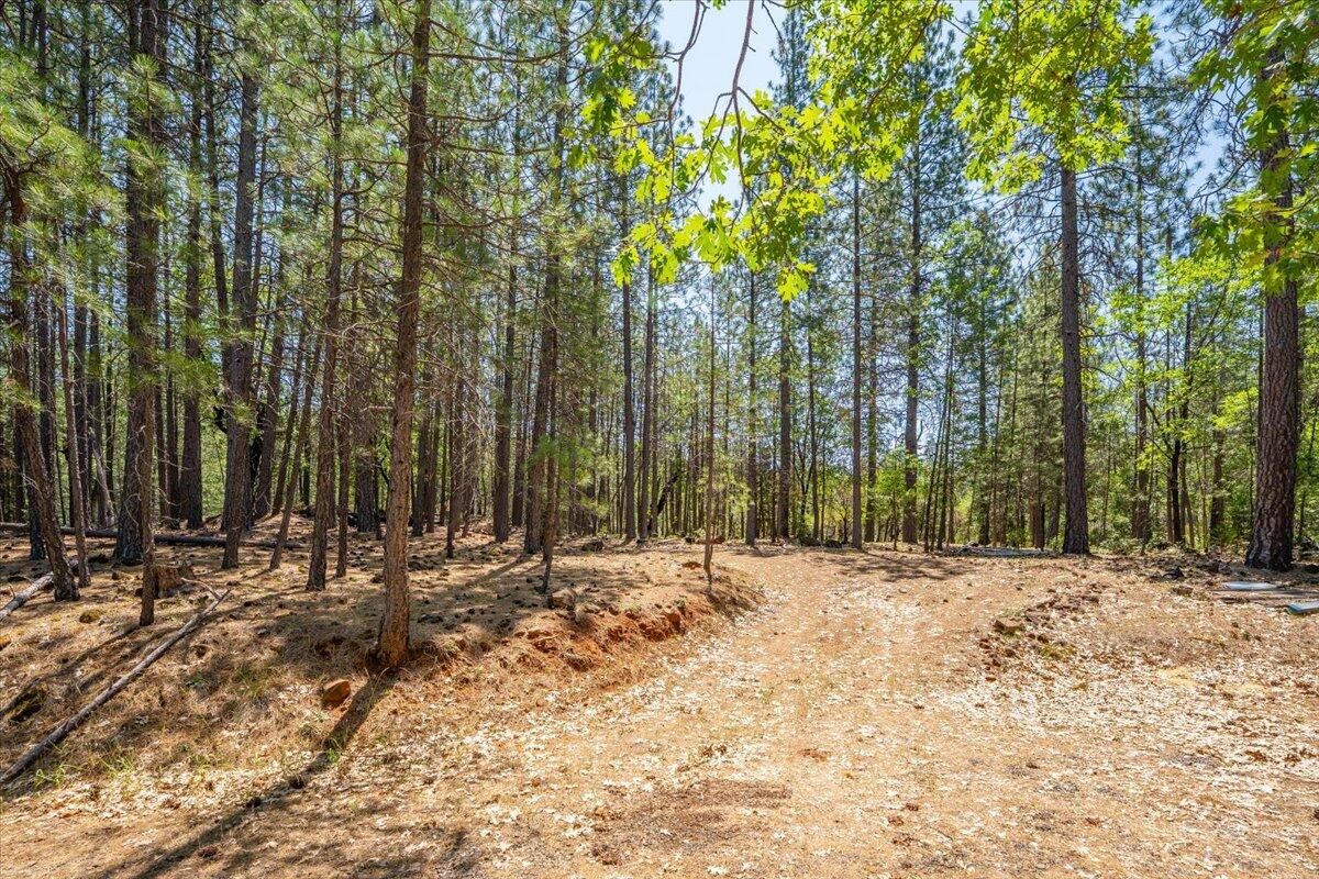 15288 Sherwood Forrest Road Oak Run, CA 96069 - Photo 90 of 91 90-15288 Sherwood Forest - E-70