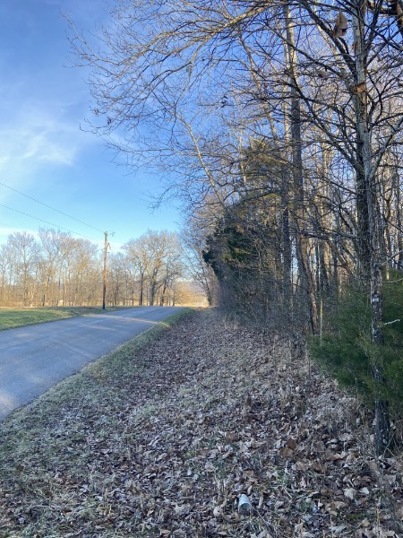 0 Pratt Road Hillsboro, TN 37342 - Photo 5 of 7 a view of a yard with a tree