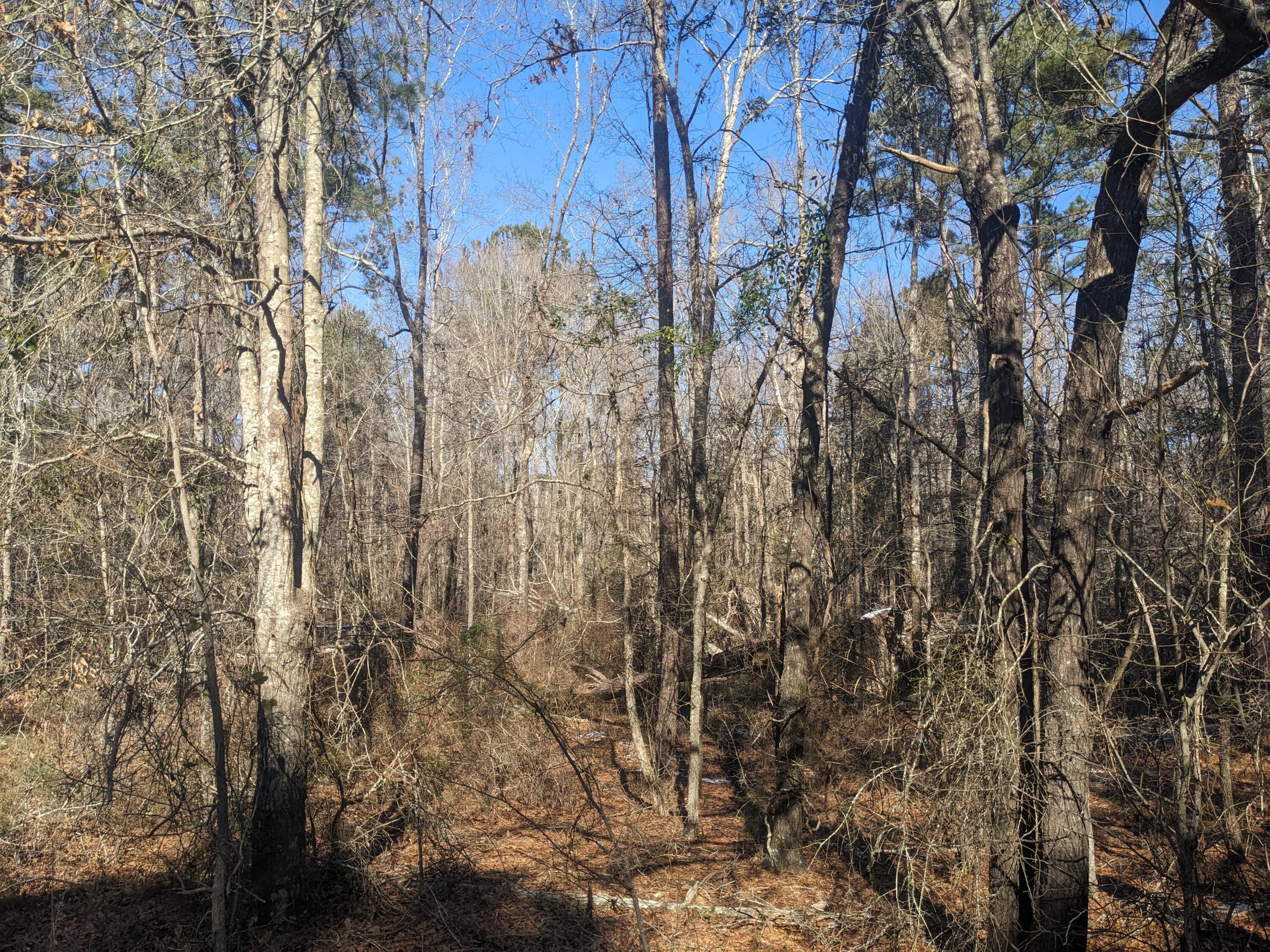 Undisclosed Address Appling, GA 30802 - Photo 2 of 2 PXL_20250124_172705778.MP