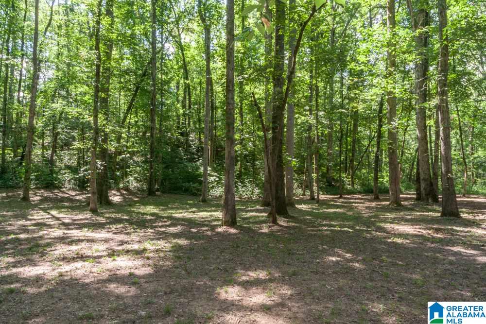 58 Riverview Court Cleveland, AL 35049 - Photo 33 of 37