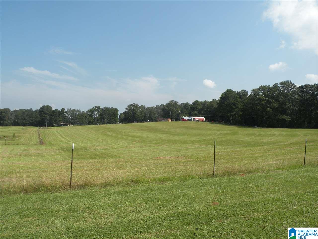 413 Truss Ferry Road Lincoln, AL 35096 - Photo 2 of 36
