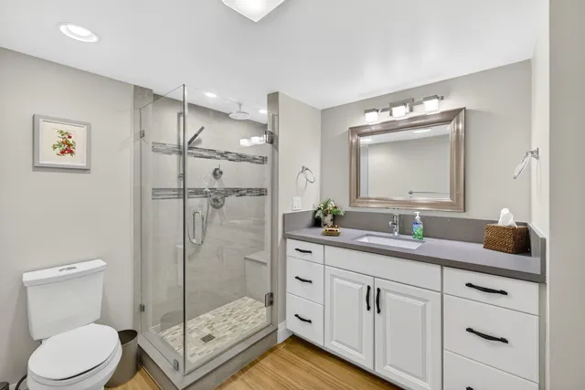a bathroom with a toilet a sink a glass door a shower a mirror and vanity