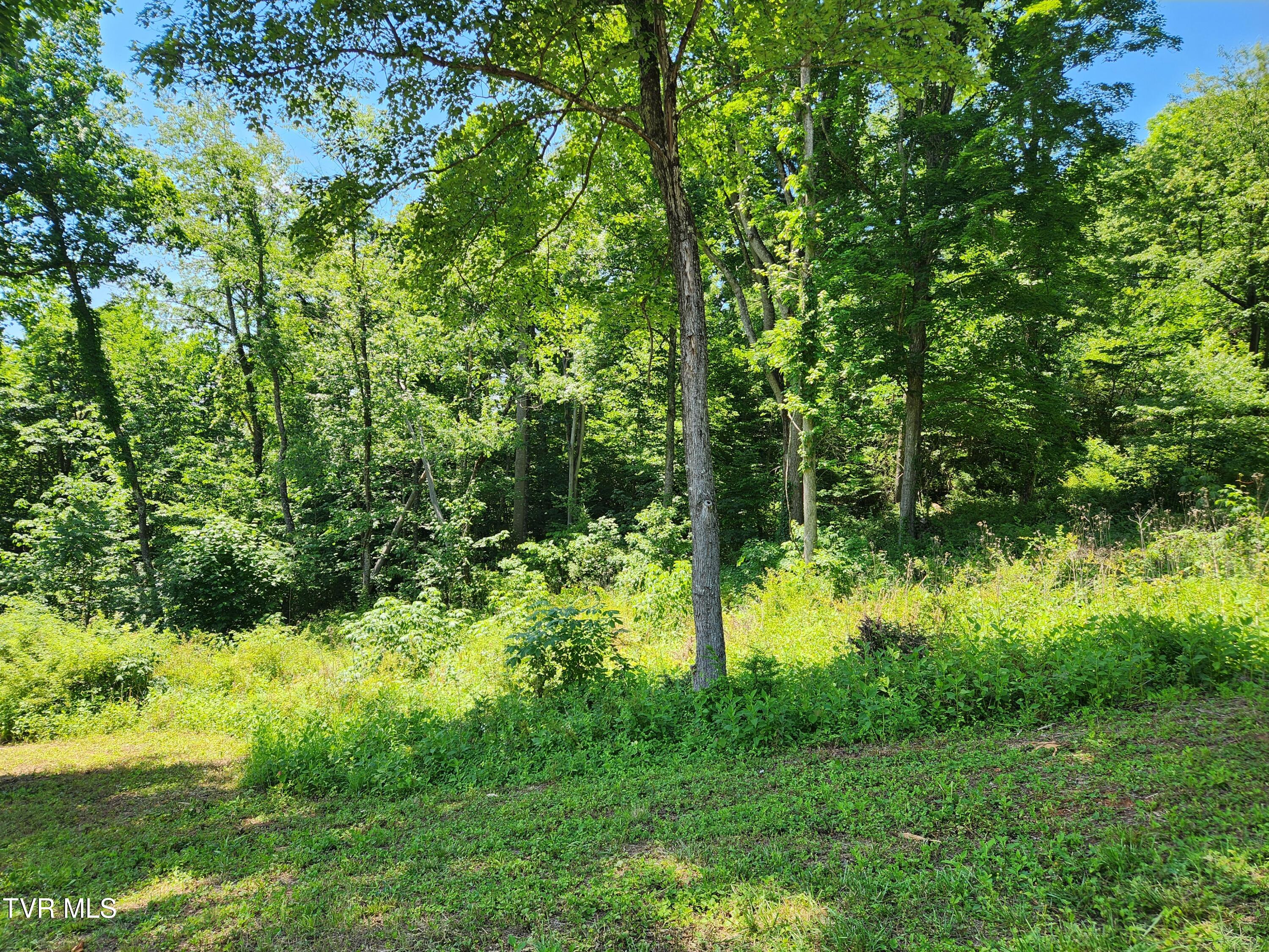 Lot 40 Cowan Town Road, Unit 40 Butler, TN 37640 - Photo 74 of 117 20260606_150559