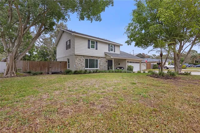 a view of backyard and tree
