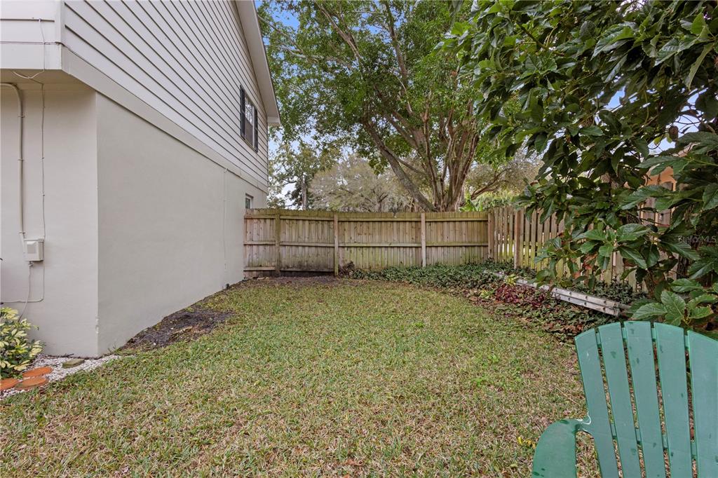 1437 Glenview Road Palm Harbor, FL 34683 - Photo 26 of 69 a view of backyard and tree