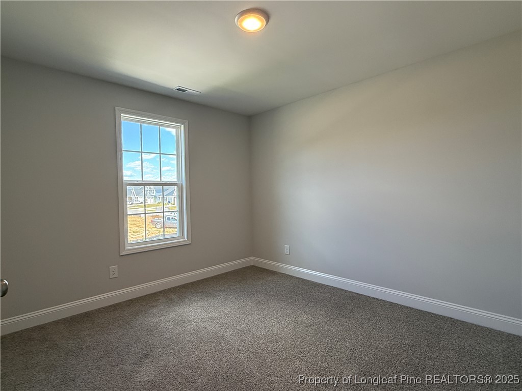 120 Ironbark Drive Raeford, NC 28376 - Photo 38 of 42