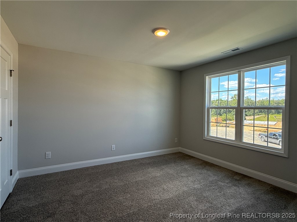 120 Ironbark Drive Raeford, NC 28376 - Photo 39 of 42