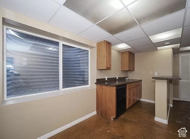 13548 South Villa Rosa Way Draper, UT 84020 - Photo 21 of 28 Built-in cabinetry with a sink, drop ceiling with recessed lighting, and a window