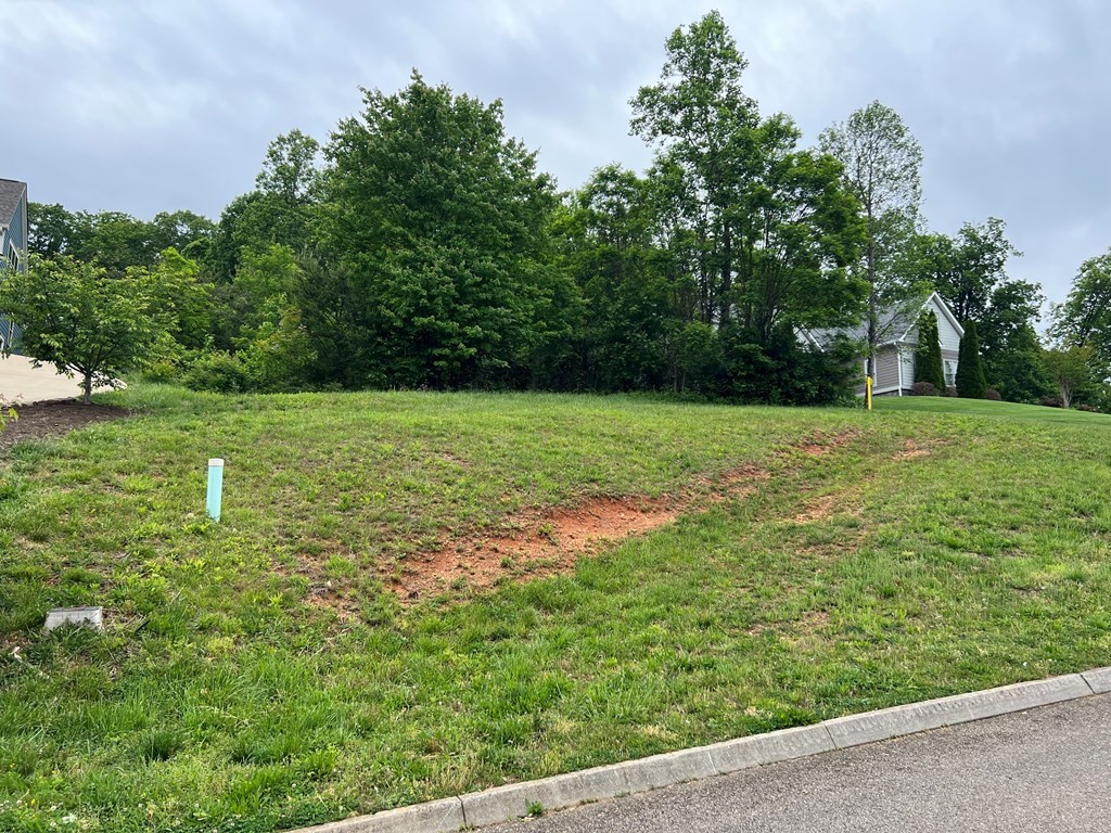 449 Laurel Ridge Lane Knoxville, TN 37922 - Photo 6 of 16