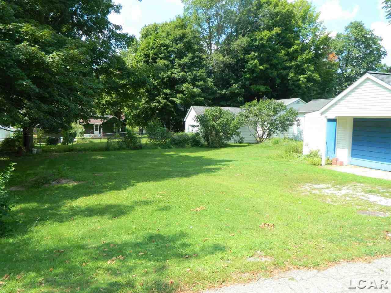 211 2nd Street Addison, MI 49220 - Photo 2 of 14 Large Yard