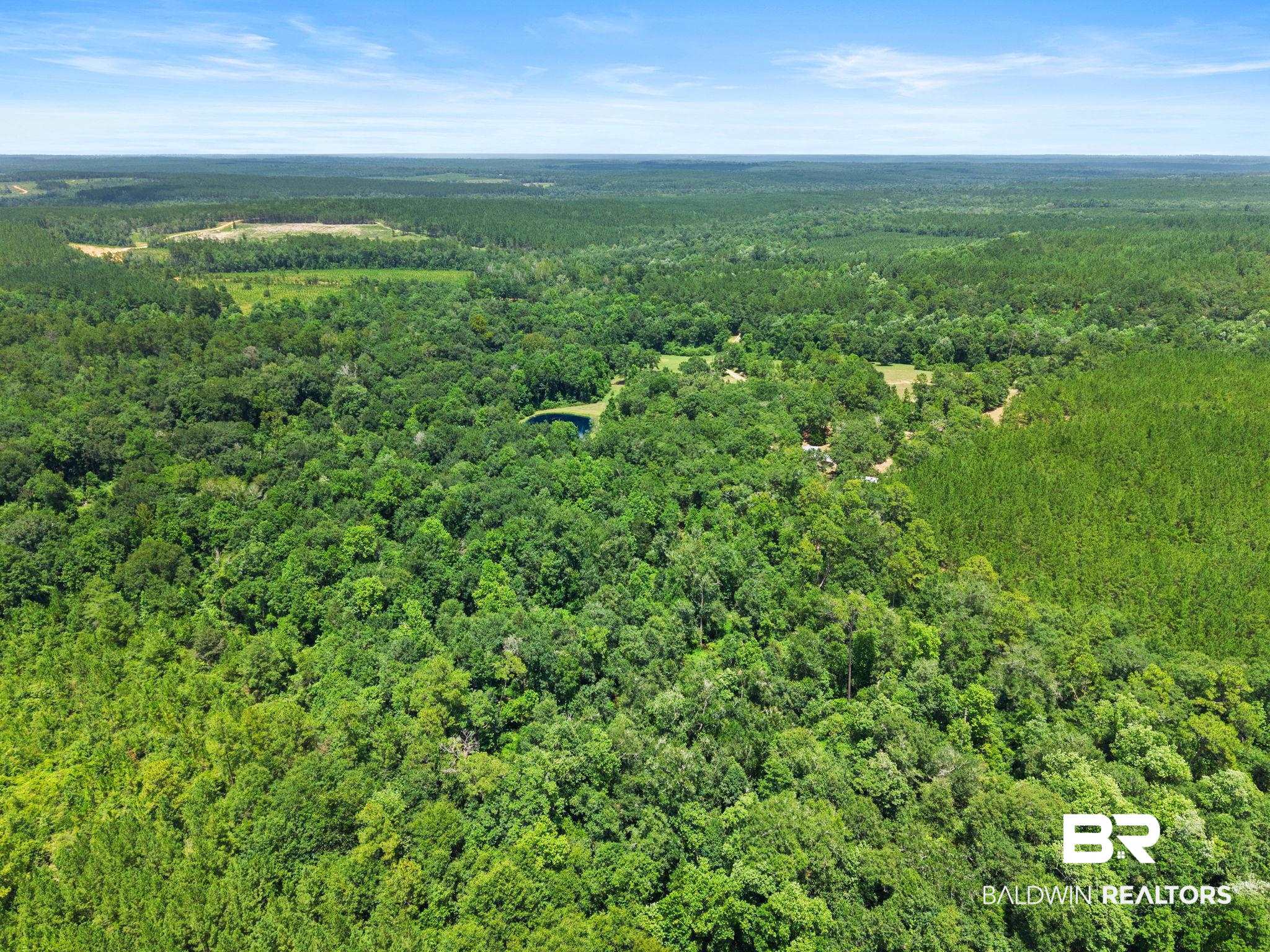 3470 Bellfork Road Atmore, AL 36502 - Photo 71 of 74