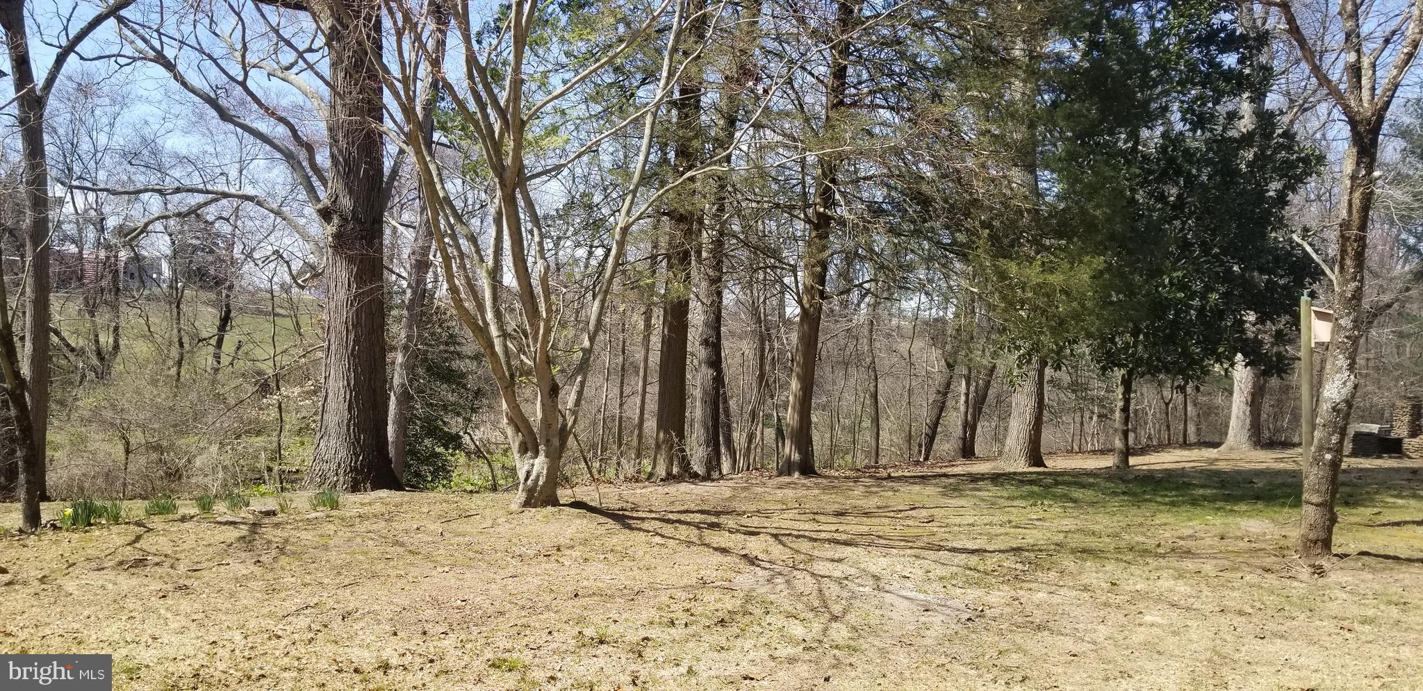 77 Black Road Pilesgrove, NJ 08098 - Photo 42 of 46
