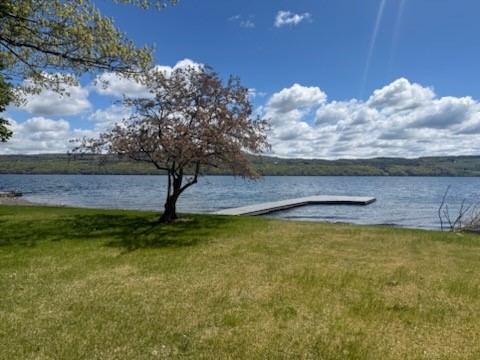 4150 Buttonwood Road Reading, NY 14878 - Photo 4 of 39