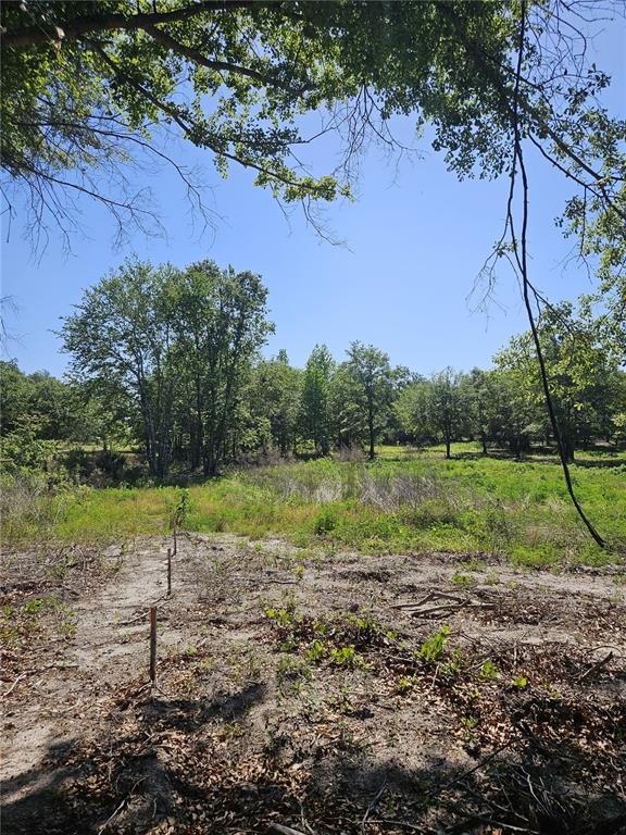 0 Southwest Mixson Road Lake City, FL 32024 - Photo 24 of 34 Gallery Image 24