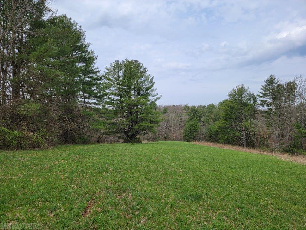 Tbd Hunters Ridge Road Dugspur, VA 24325 - Photo 2 of 65 Gallery Image 2