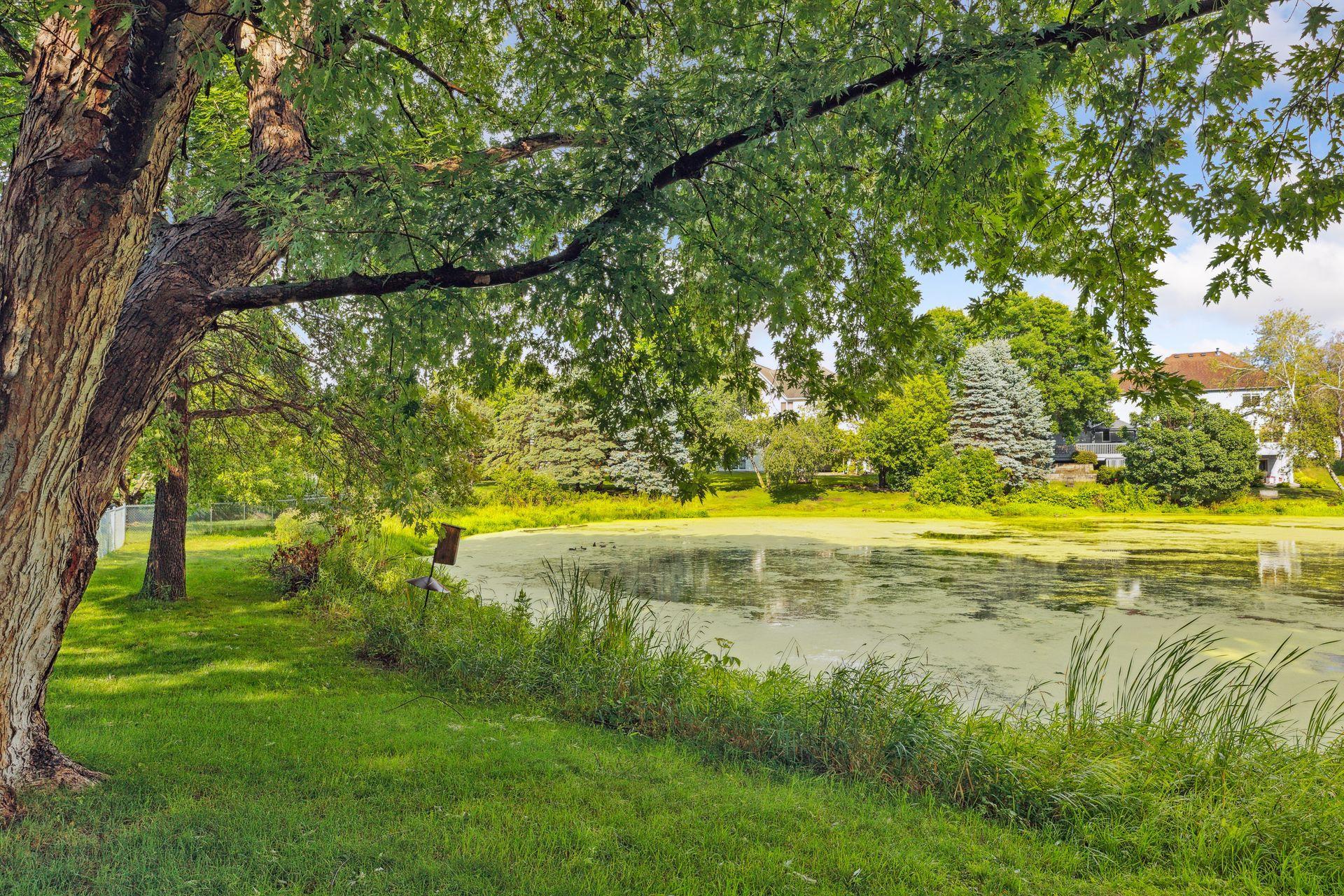 13728 Danbury Path Rosemount, MN 55068 - Photo 42 of 45