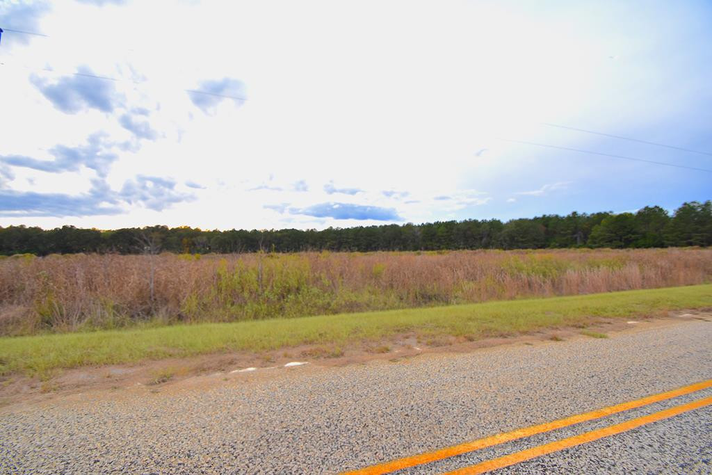 Lot 21 Bullrun Road Bishopville, SC 29010 - Photo 1 of 14 Gallery Image 1