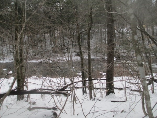 218 Worthington Road Huntington, MA 01050 - Photo 8 of 10 a backyard of a house