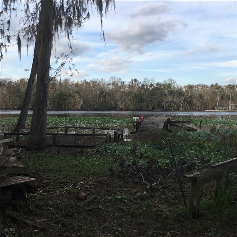 0 Tree Road Astor, FL 32102 - Photo 1 of 1