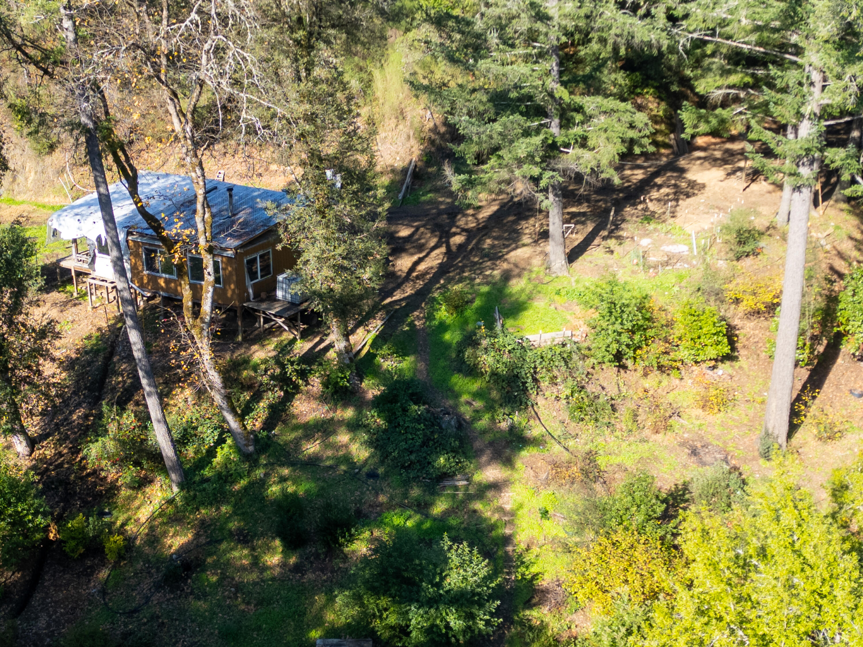 5200 Briceland Road Redway, CA 95560 - Photo 5 of 31