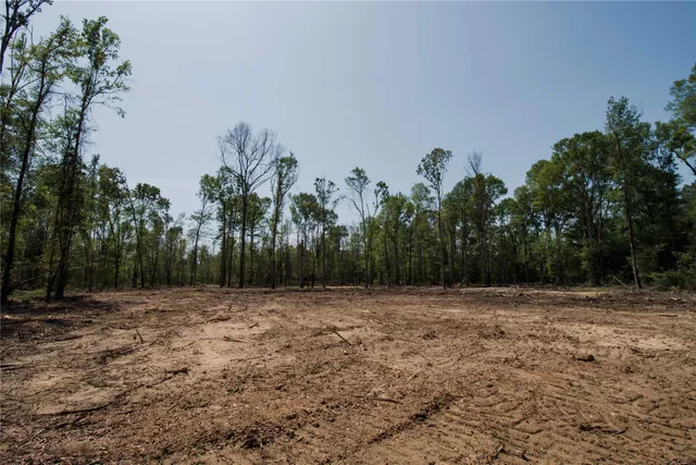 a view of a green field with trees in the background