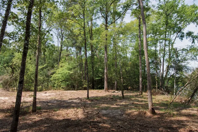 a backyard of a house with lots of trees