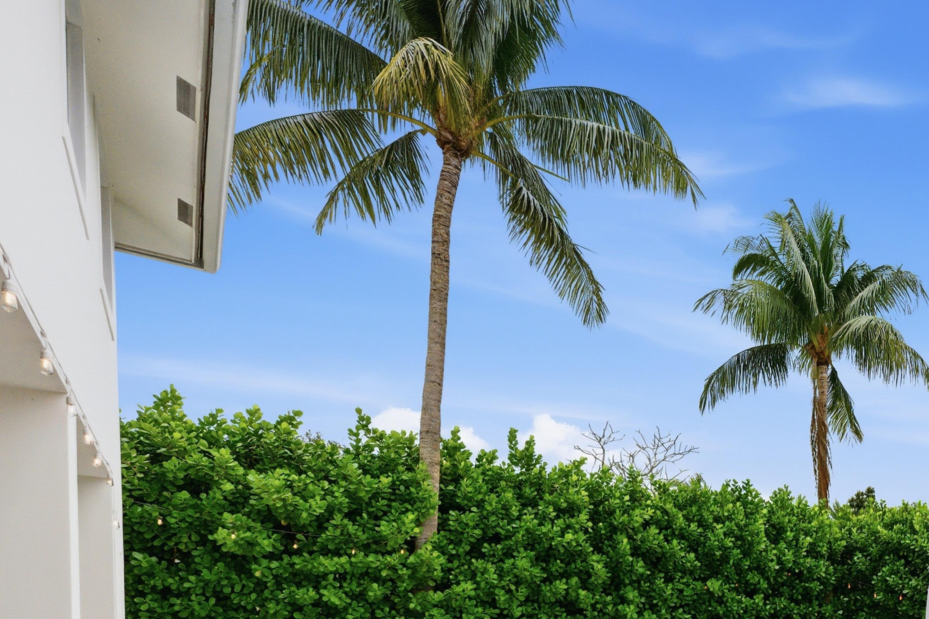 1044 Northwest 6th Drive Boca Raton, FL 33486 - Photo 24 of 33 Back 1resized